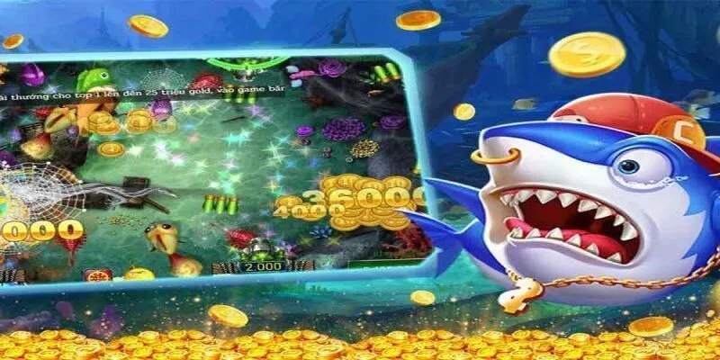 Chiến thuật săn cá hiệu quả
